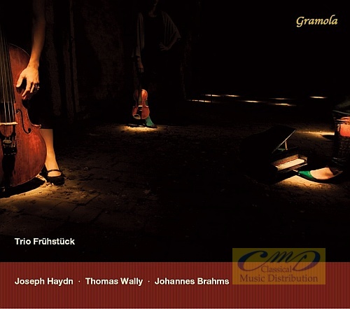 Haydn Wally Brahms: Piano Trios